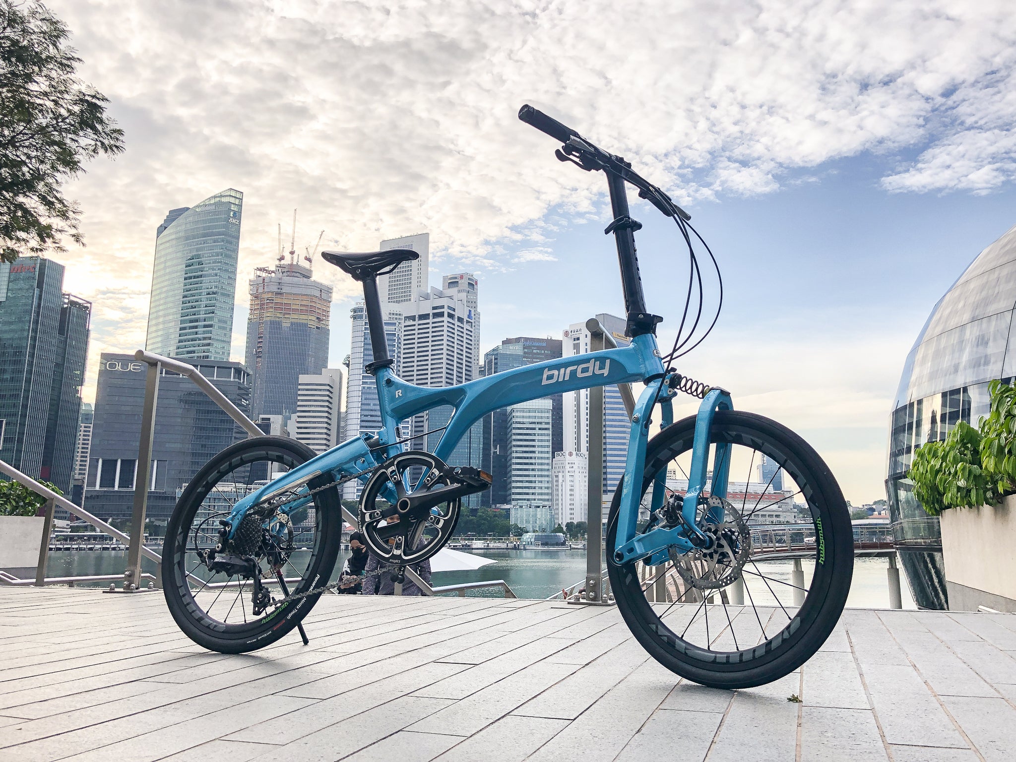 Electric discount birdy bike